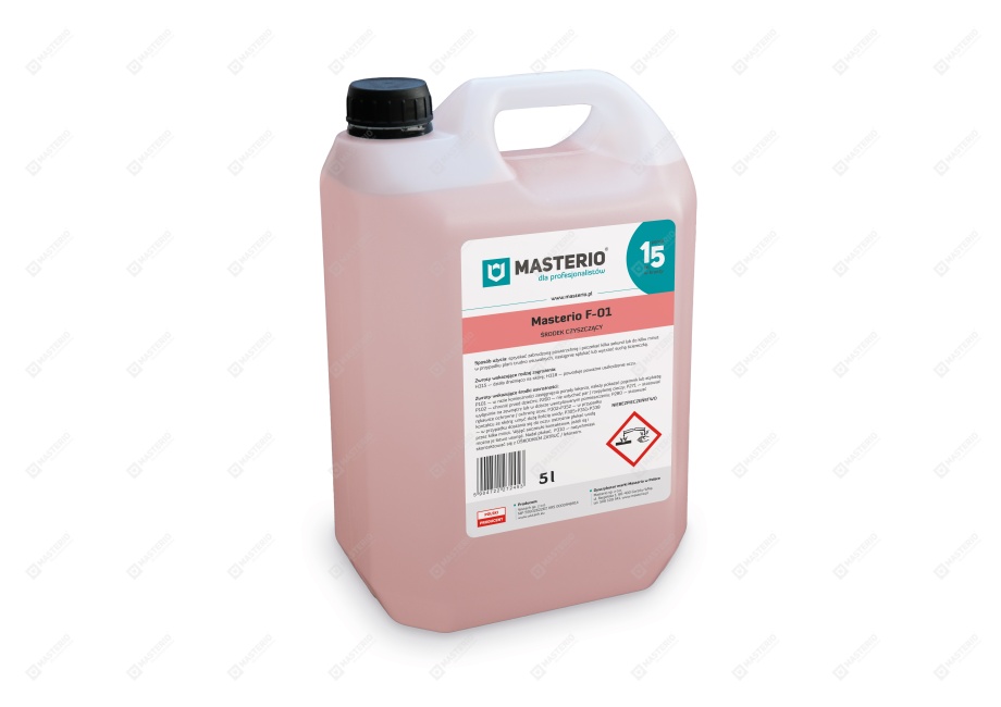 Masterio F 01 cleaning fluid – 5 l cannister